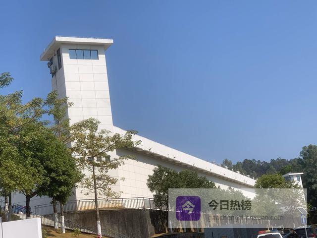 如果主犯拒不退赃，从犯独立退赔的金额应该如何计算？