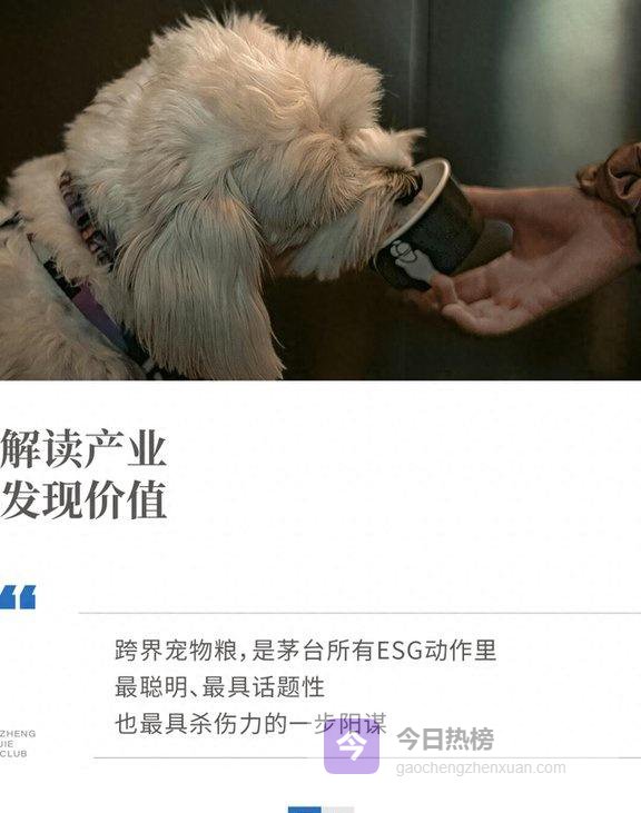 茅台跨界做宠物粮，藏着什么生意？