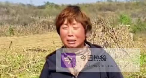 断亲一年没流量，哭着认亲晚了吧？