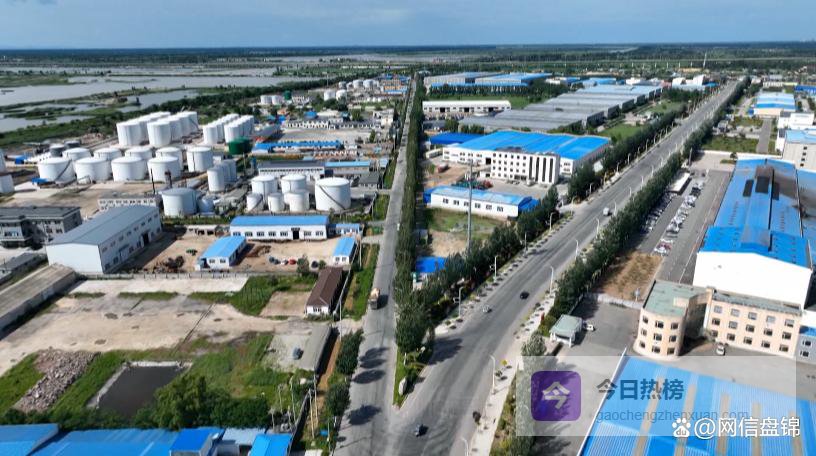 盘山：全力打造水飞蓟产业发展新高地