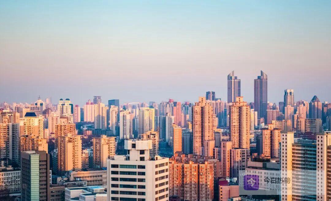 征收拆迁维权：信息公开全流程实战指南