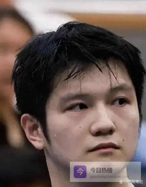 陈梦樊振东，绝代双骄的两种极致美学