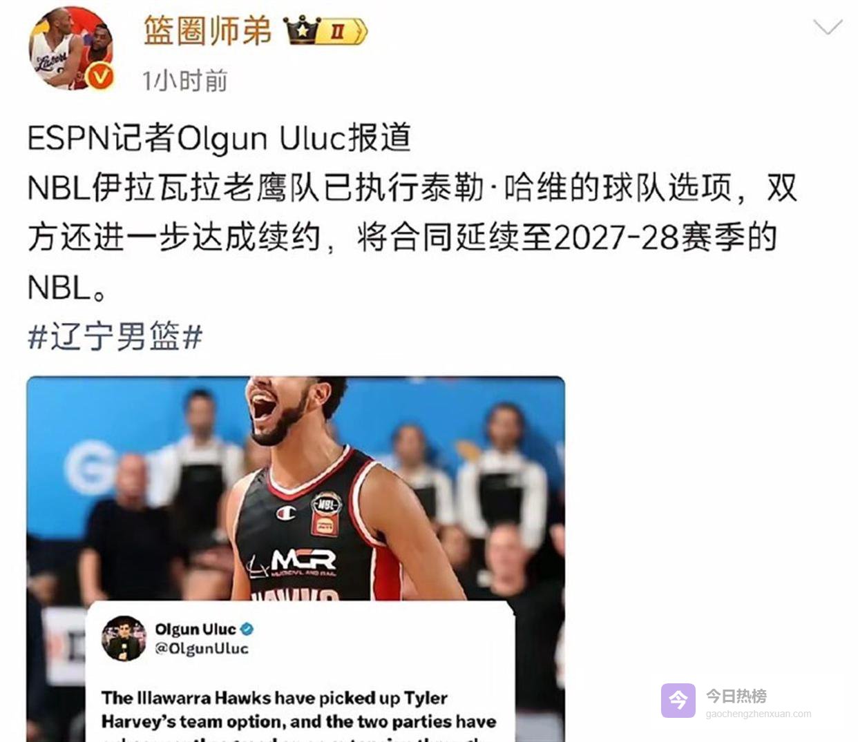 辽篮地震！哈维刚走新大外就落地，德甲场均两双猛男已在香港待命，这次杨鸣终于不用死扛莫兰德了