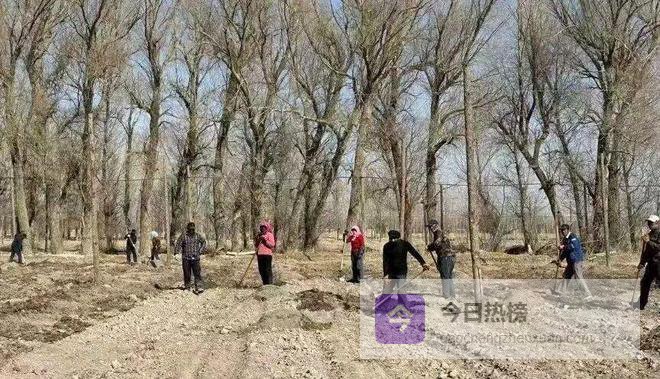 万象“耕”新不负春｜甘肃农垦亚盛绿鑫集团全面打响春耕备耕“攻坚战”