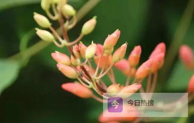 把垃圾带走，把文明留下