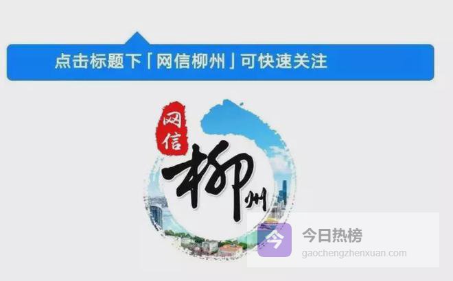 网信说法丨非法薅“羊毛”12万，网警出手！