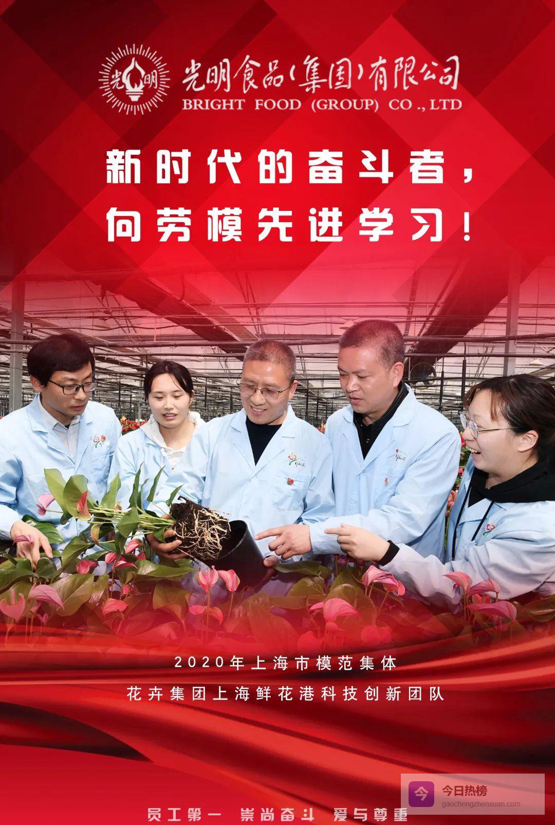 光明追梦：上海鲜花港团队如何助力花博会