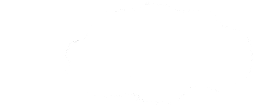 爱鸟周有奖问答（三）丨北京藏着 “鸟类高速公路”！