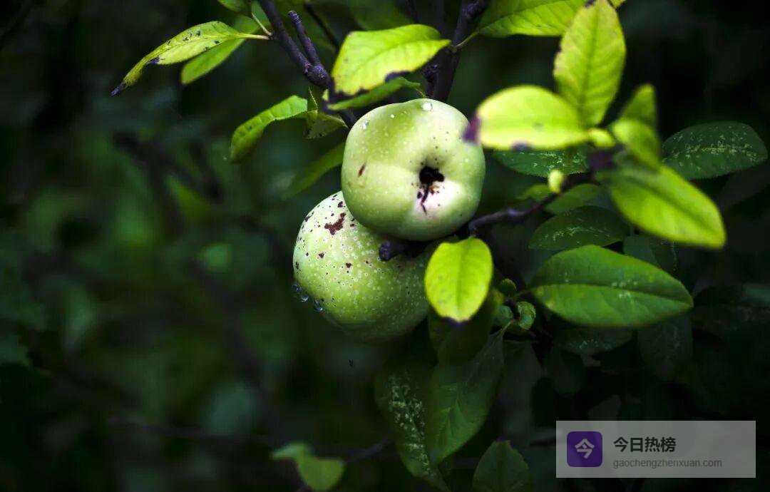 读书：最低成本的奢侈，最高门槛的高贵