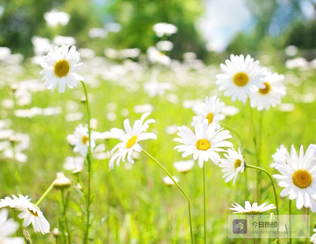 两岁到五岁萌娃生日祝福语全记录