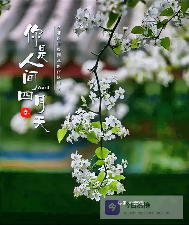 醉美四月，赴一场春日之约
