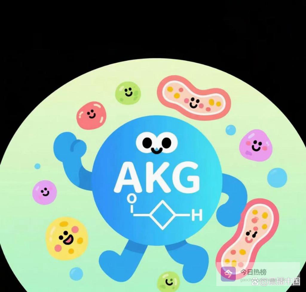 抗衰老保健品哪个牌子好？2026年抗衰AKG选购白皮书：高纯度保障，生物利用率更高