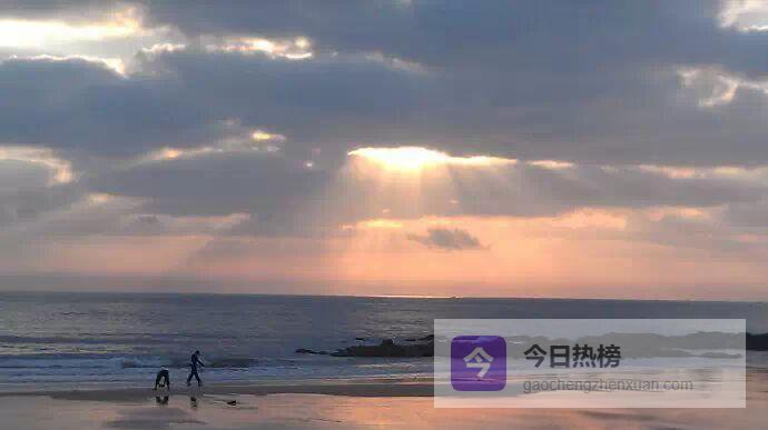 骑得更快不费劲：变速系统全场景实战指南