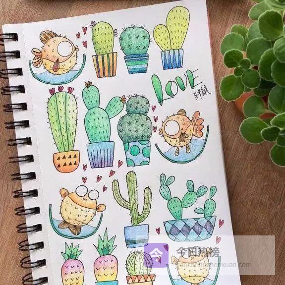 10步画出一盆萌到爆的仙人掌