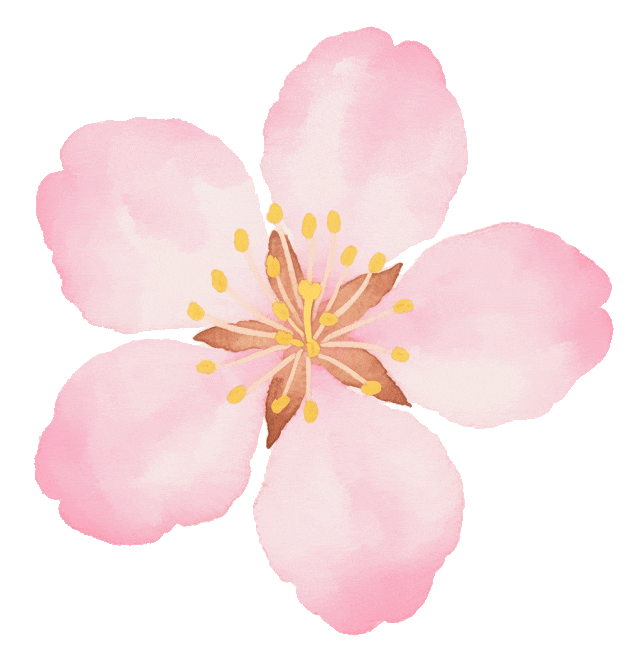 多业态融合发展，消费市场活力迸发！从清明小长假看盘锦“春日经济”的打开方式