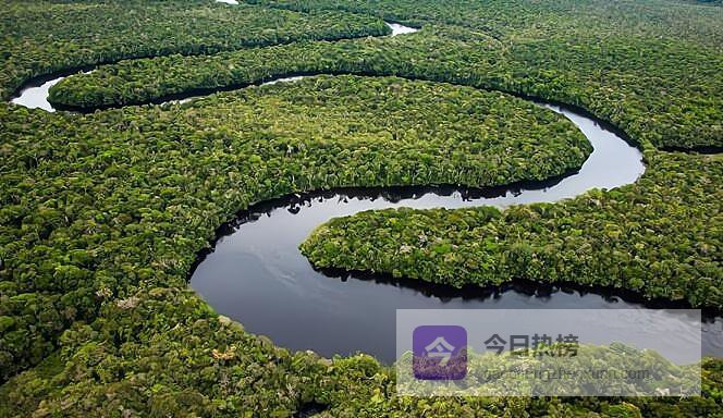 别不信亚马逊河的可怕！看似原始壮阔的河面下全是死亡陷阱，无数惨案在前，再胆大的人也不敢轻易下水畅游！