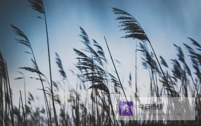 表面“风马牛”，实则“千丝缕”——美式口语里的“错位”真相