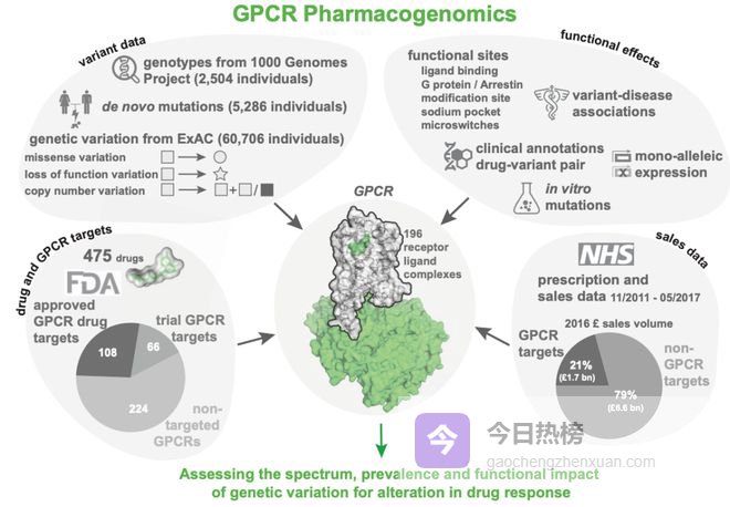 千亿蓝海，告别双刃剑的GPCR偏向性药物！