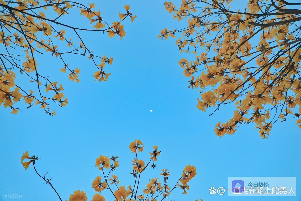 四月上旬财神点名！4 大生肖财路顺畅无阻，财富崛起赚得盆满钵满