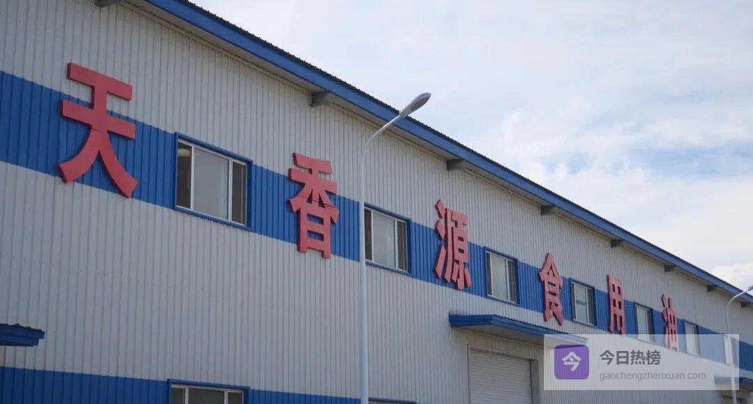 霍尔果斯天香源：一朵葵花撬动双循环