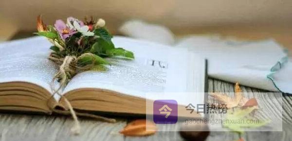 朋友圈晒书=“装”？爱读书的大学生为何集体沉默