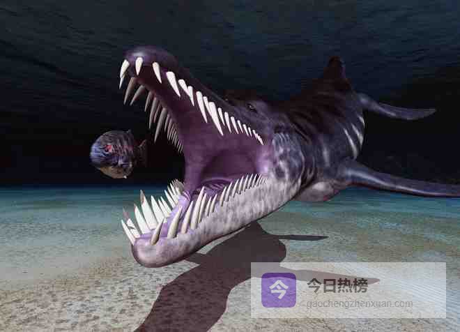 认识这条以浮游生物为生的巨大史前鱼