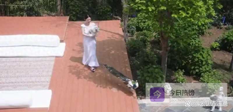 霍思燕一家泰国度假！嗯哼摘牙套颜值飙升，10岁女儿罕见露面