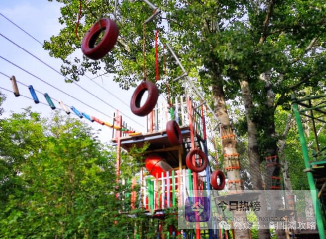 朝阳2000㎡超大乐园，专治精力过剩！在丛林里耗电一整天