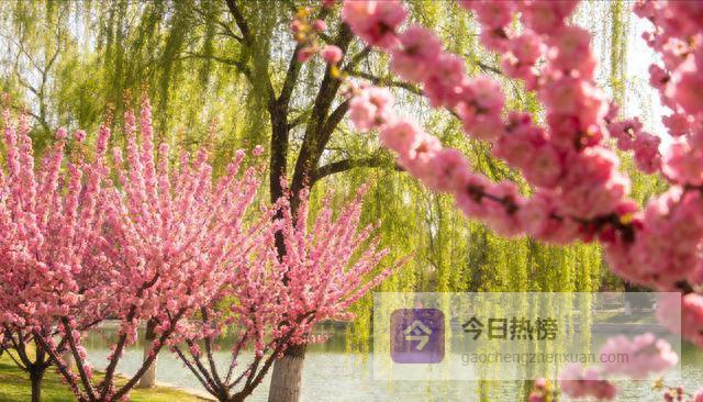 兰州植物园：把春天过成假日的100种方式