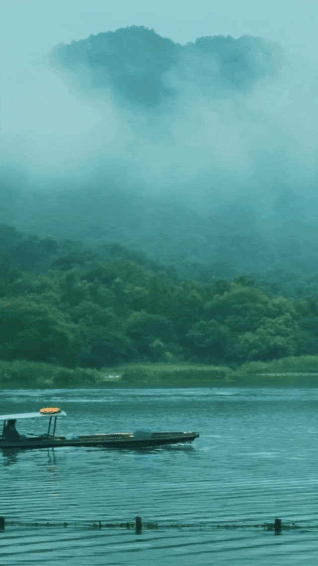 太绝了！鲜！脆！甜！香！错过又得馋一年~