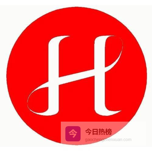 东北政府法律顾问律师事务所的职能与价值解析