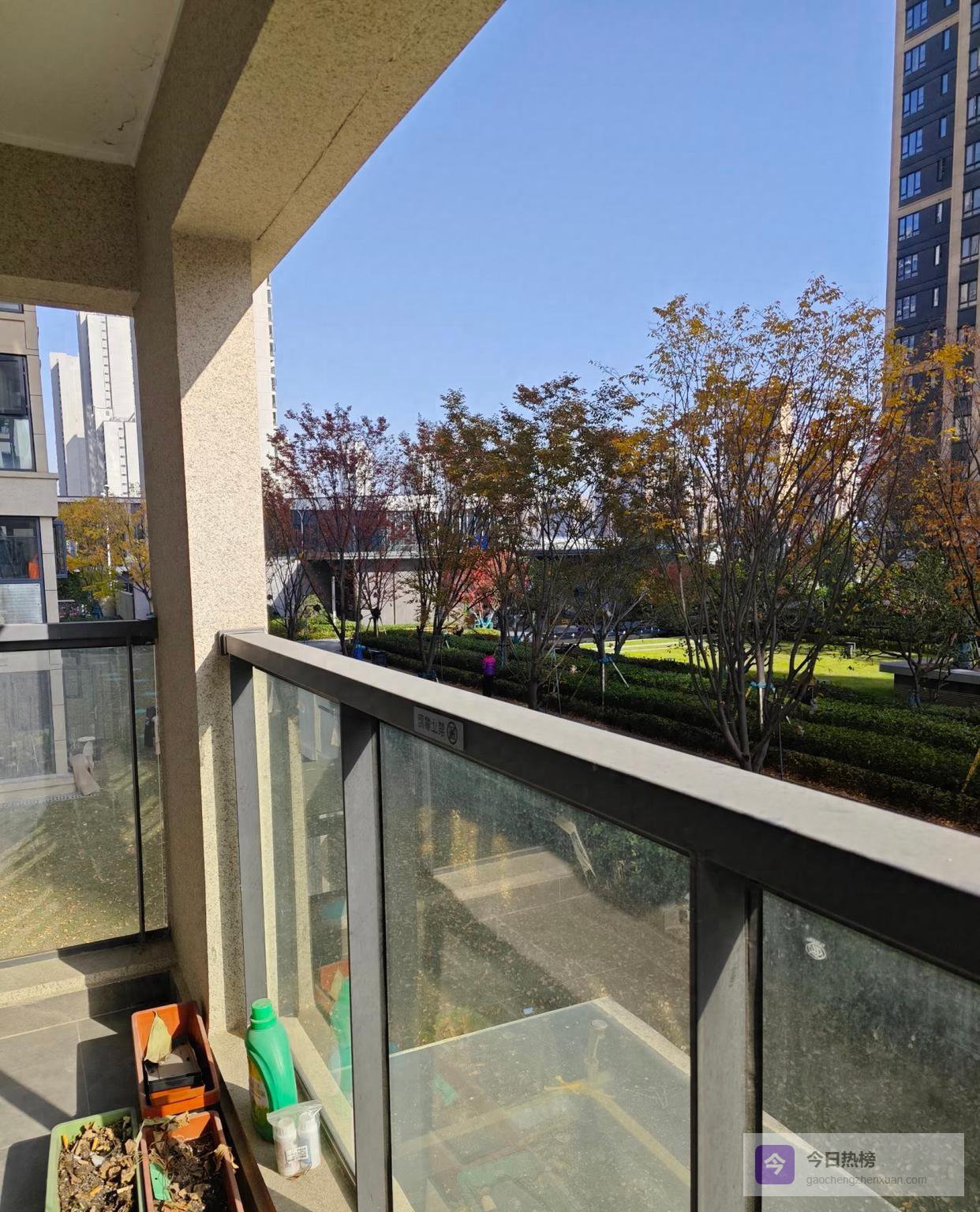 年轻人悄悄抢二楼：真香现场全解析