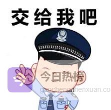 牵挂24小时：一只狗狗的“回家路”与一城温情