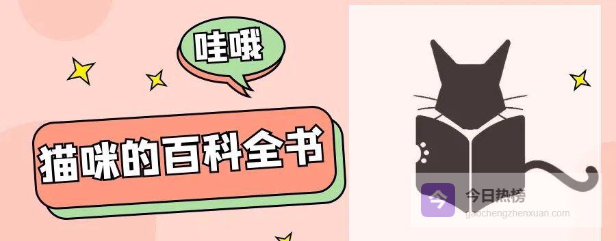 金枪鱼喂猫：香还是坑？一篇看懂利弊与戒瘾攻略