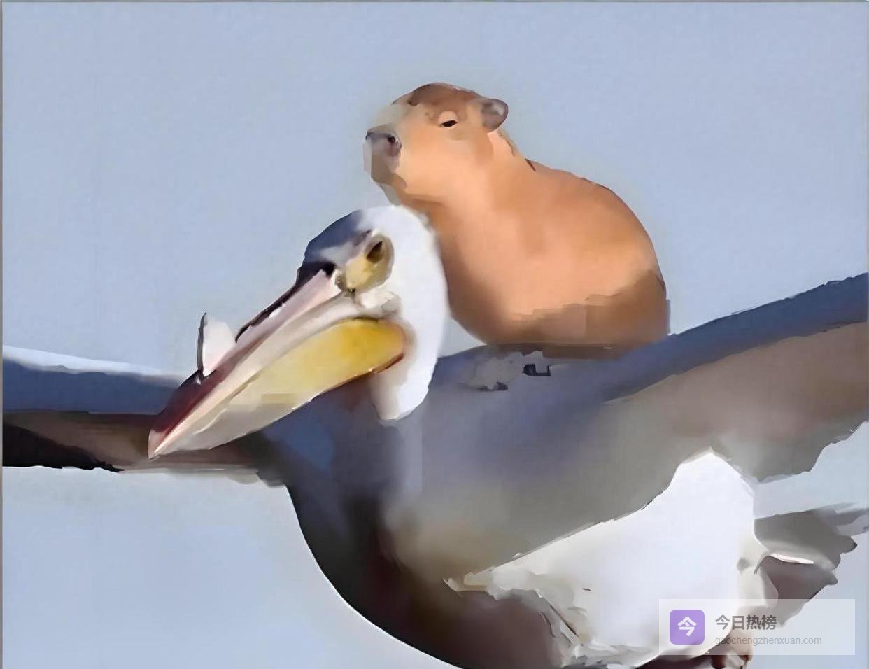 全民缉拿“佛系逃犯”水豚萌萌