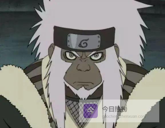 火影通灵兽人气榜：谁才是你的本命兽？