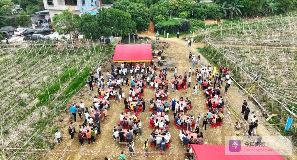 蔗农设席答谢游客“10元3条甘蔗自己砍”！滞销地20余天“翻身”记